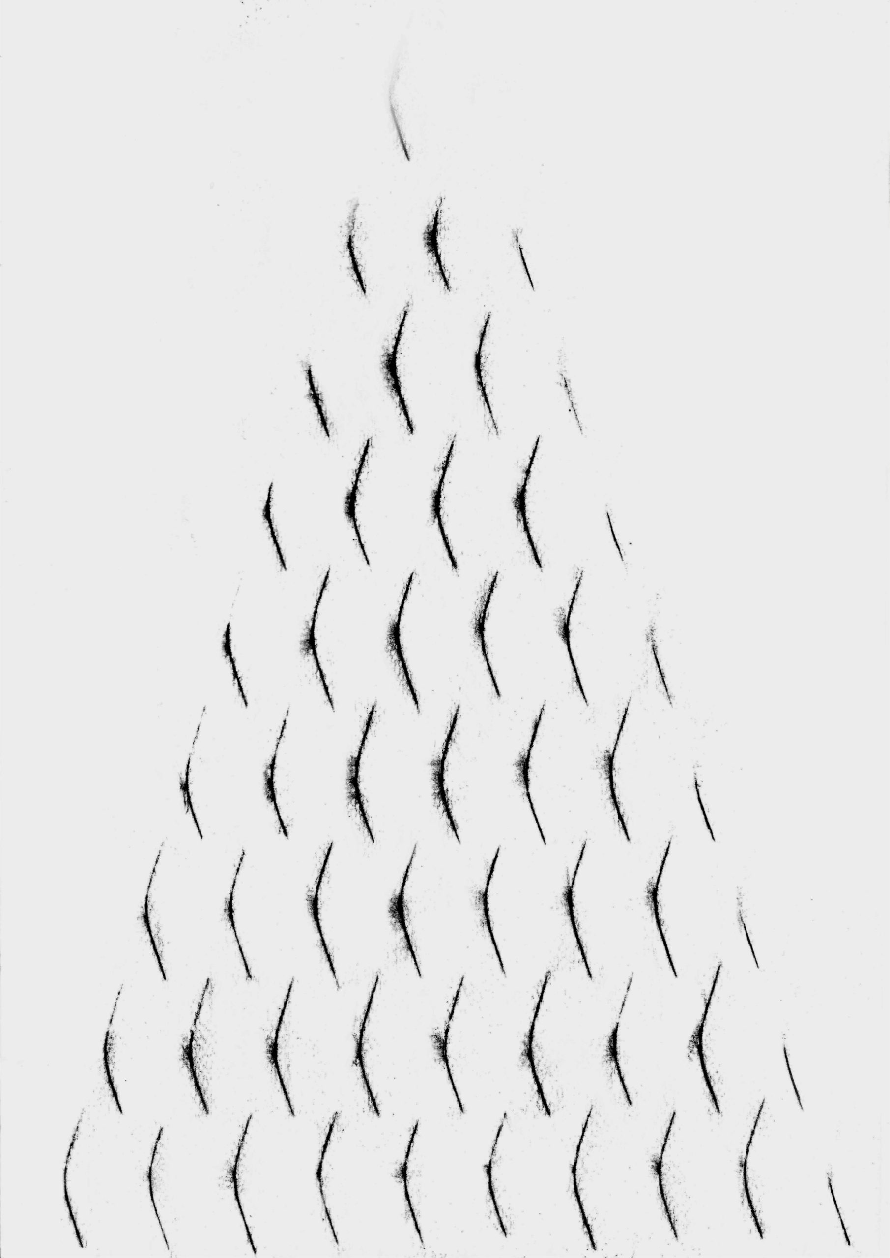 direction# 01 – Fine Art Print