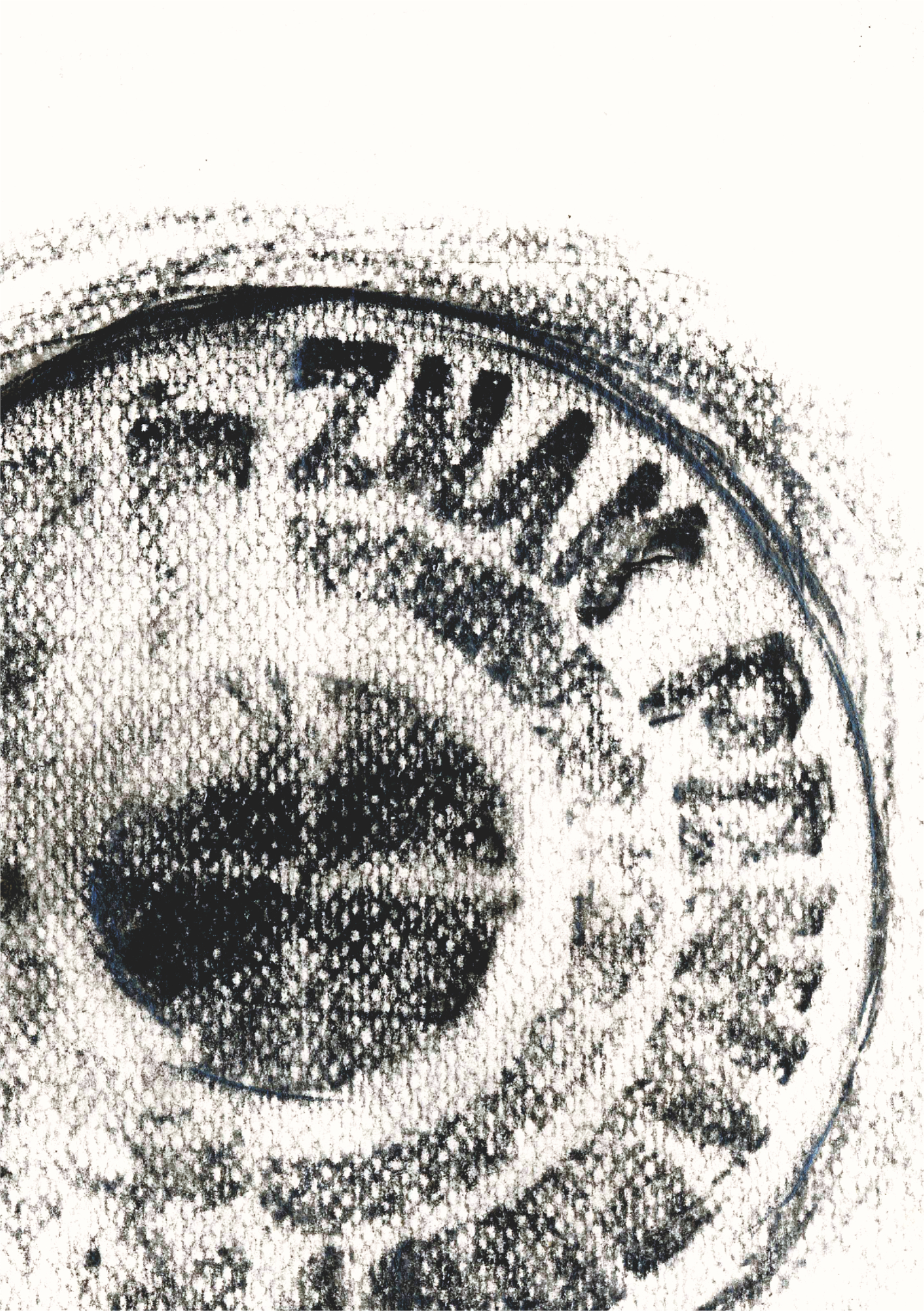 imprint# 02 – Fine Art Print